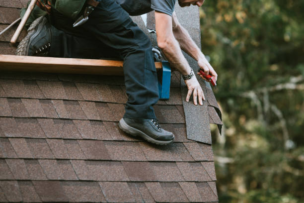 Best Local Roofing Companies  in Johnston, IA